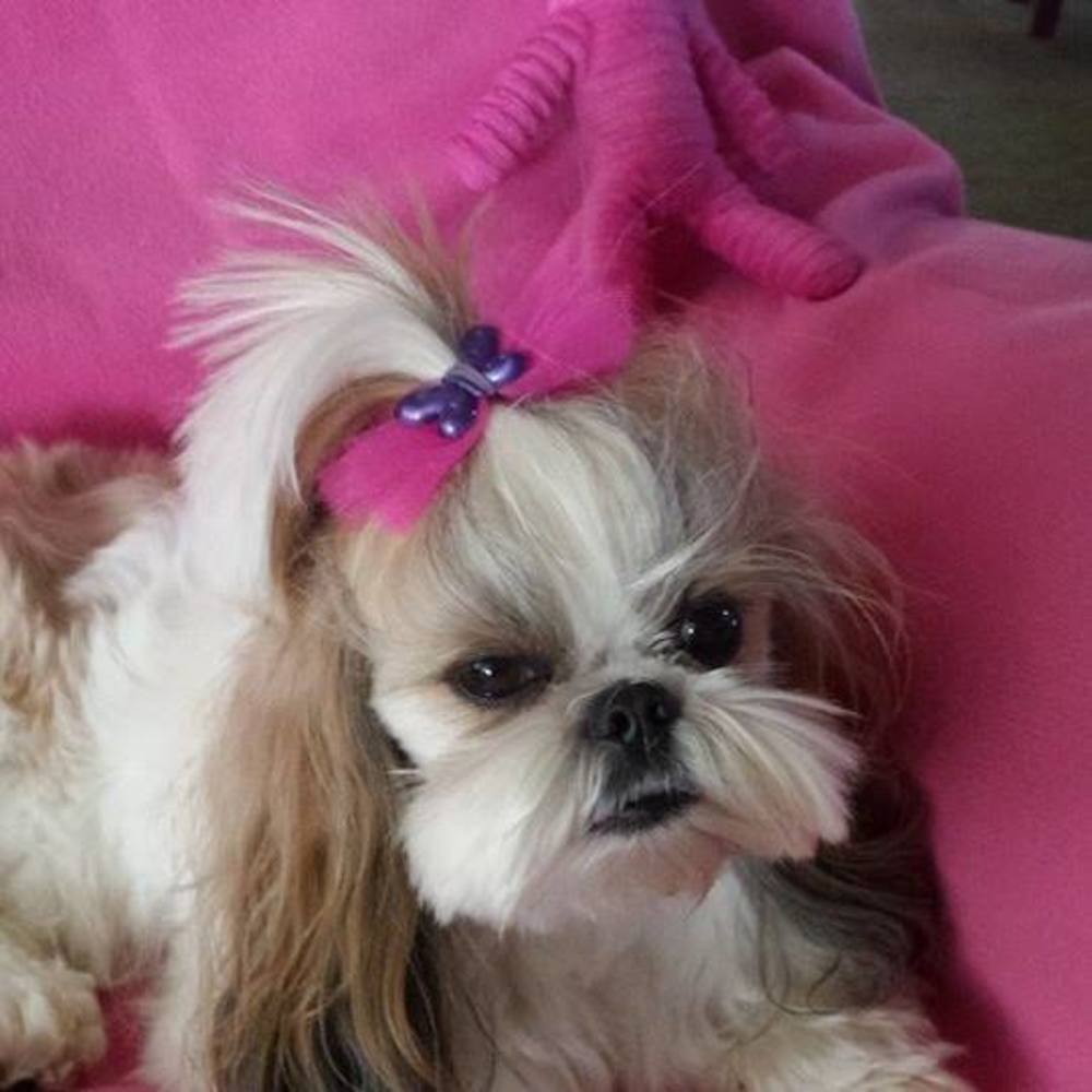 Meet your Posher, Melissa